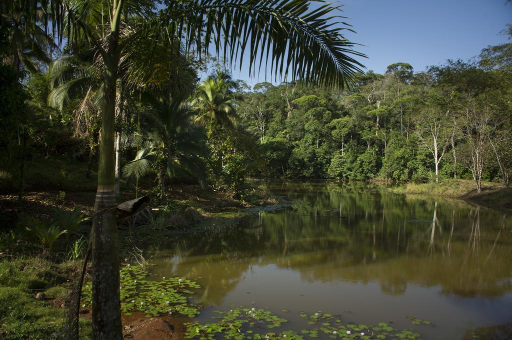 La Laguna Del Lagarto Eco-Lodge Pital  Exteriér fotografie