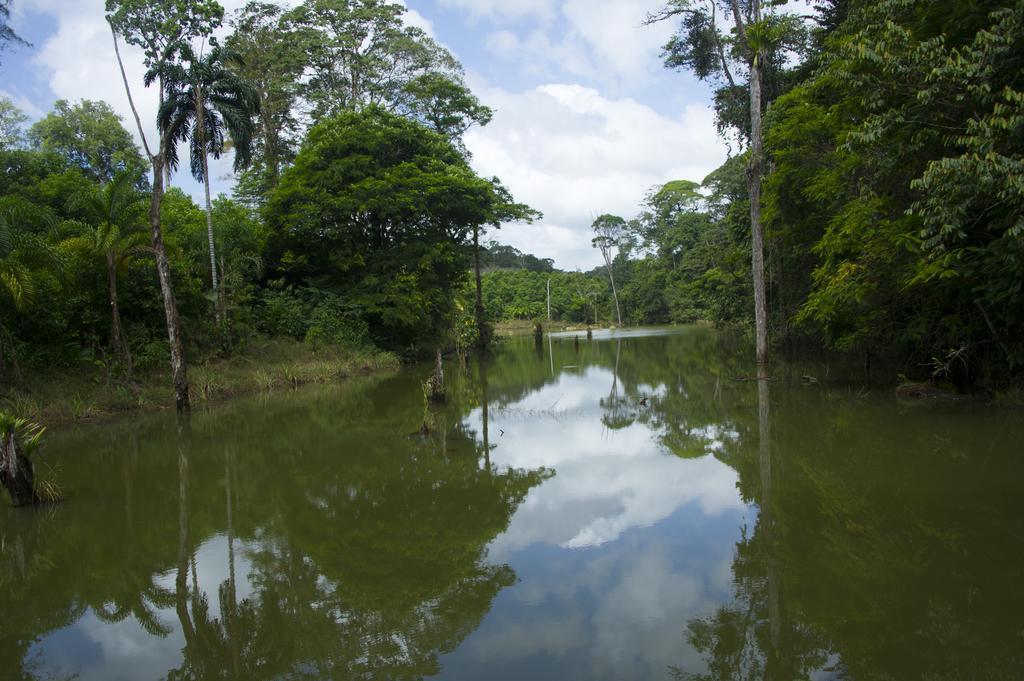 La Laguna Del Lagarto Eco-Lodge Pital  Exteriér fotografie