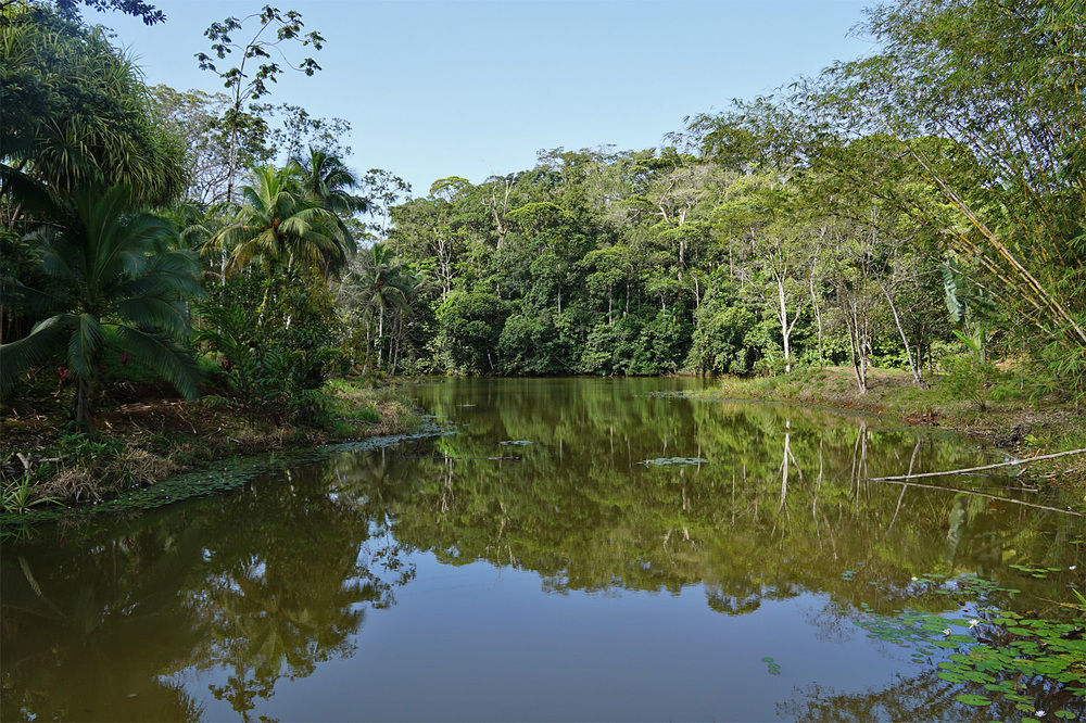 La Laguna Del Lagarto Eco-Lodge Pital  Exteriér fotografie