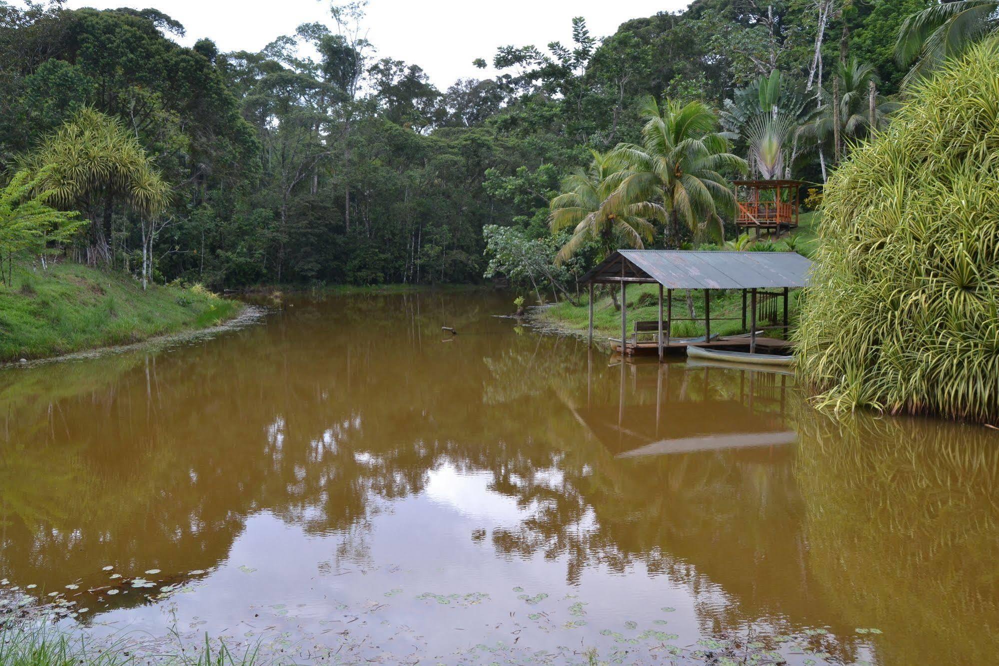 La Laguna Del Lagarto Eco-Lodge Pital  Exteriér fotografie