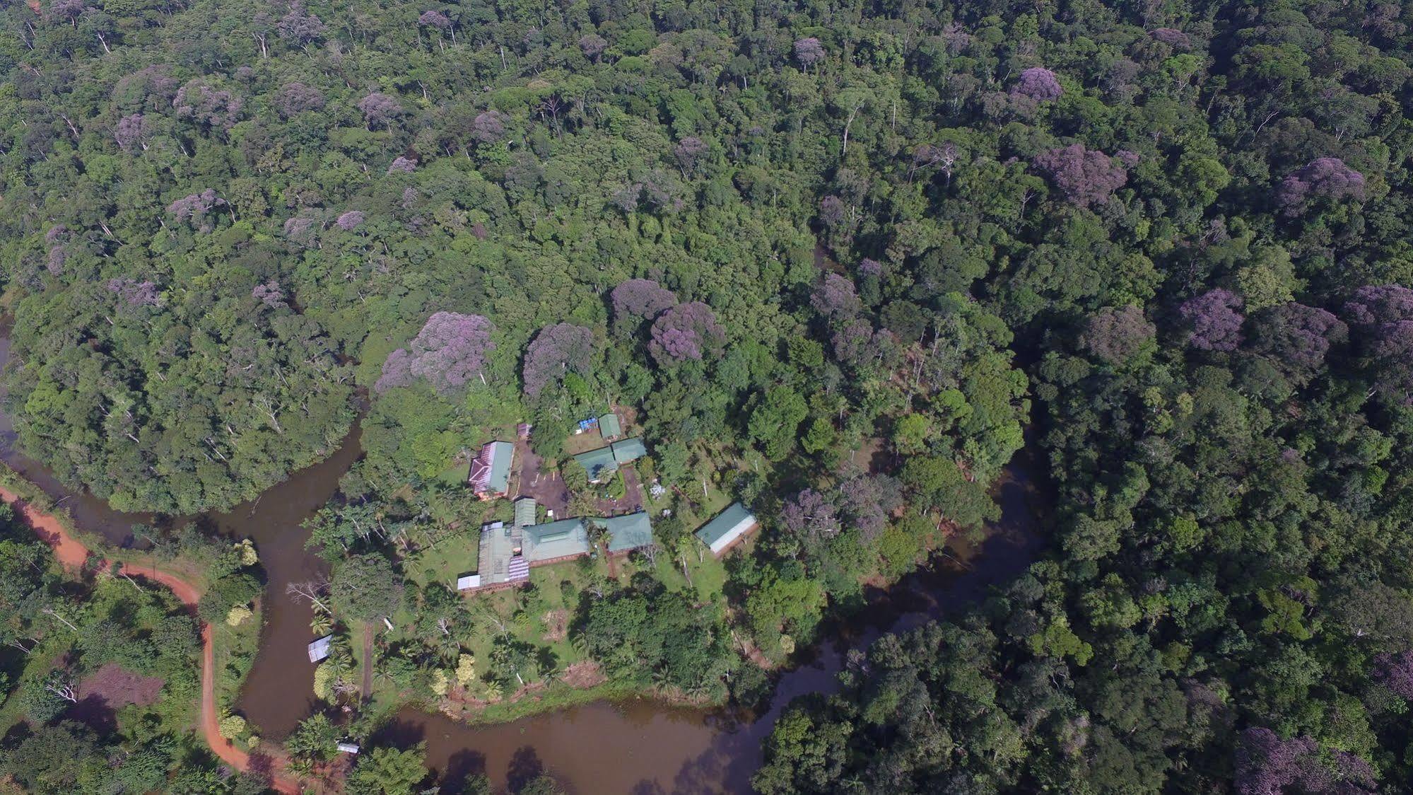 La Laguna Del Lagarto Eco-Lodge Pital  Exteriér fotografie