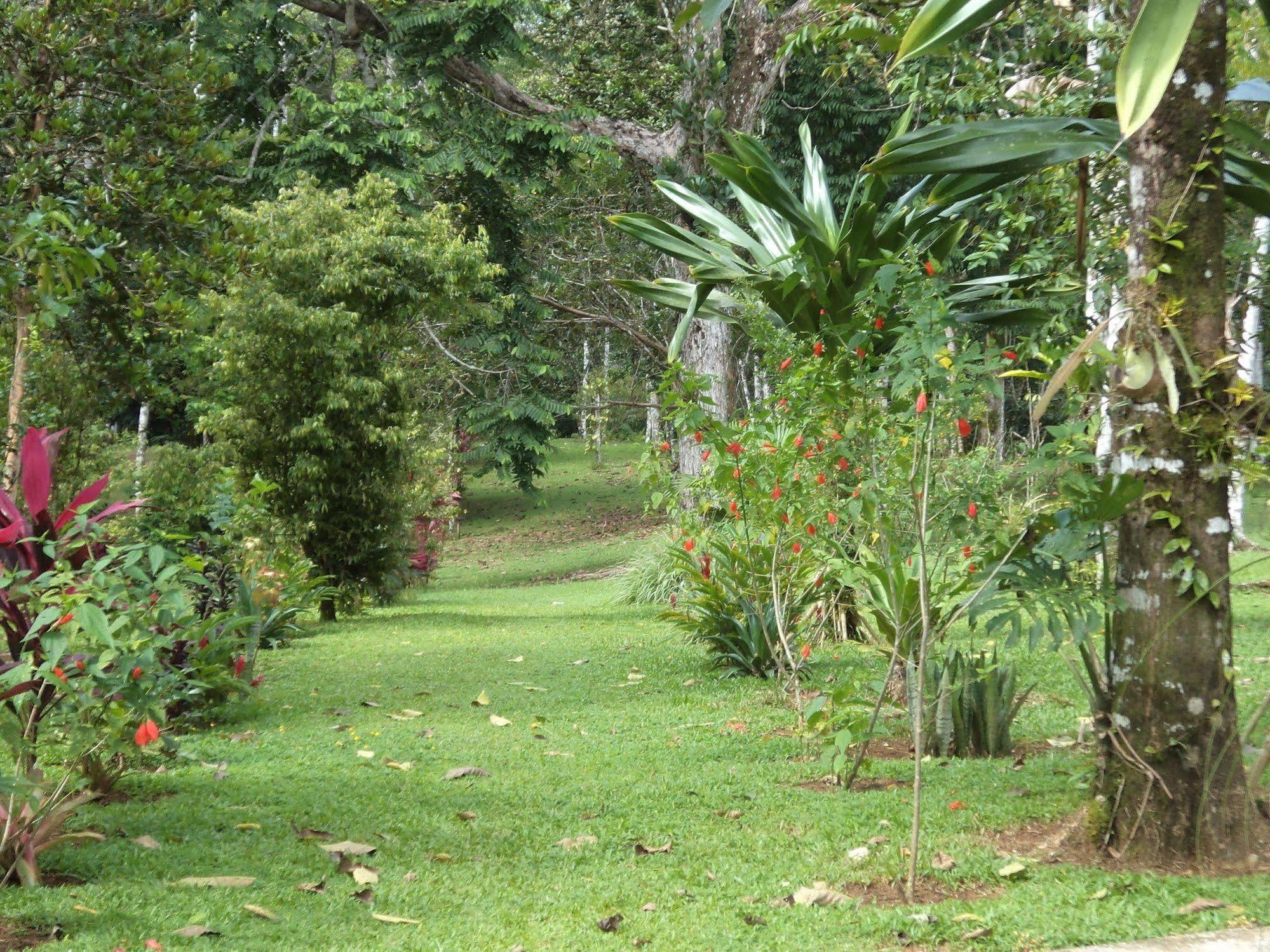 La Laguna Del Lagarto Eco-Lodge Pital  Exteriér fotografie