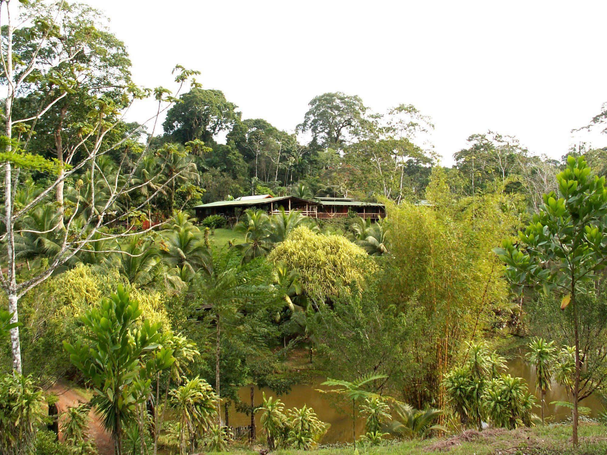 La Laguna Del Lagarto Eco-Lodge Pital  Exteriér fotografie
