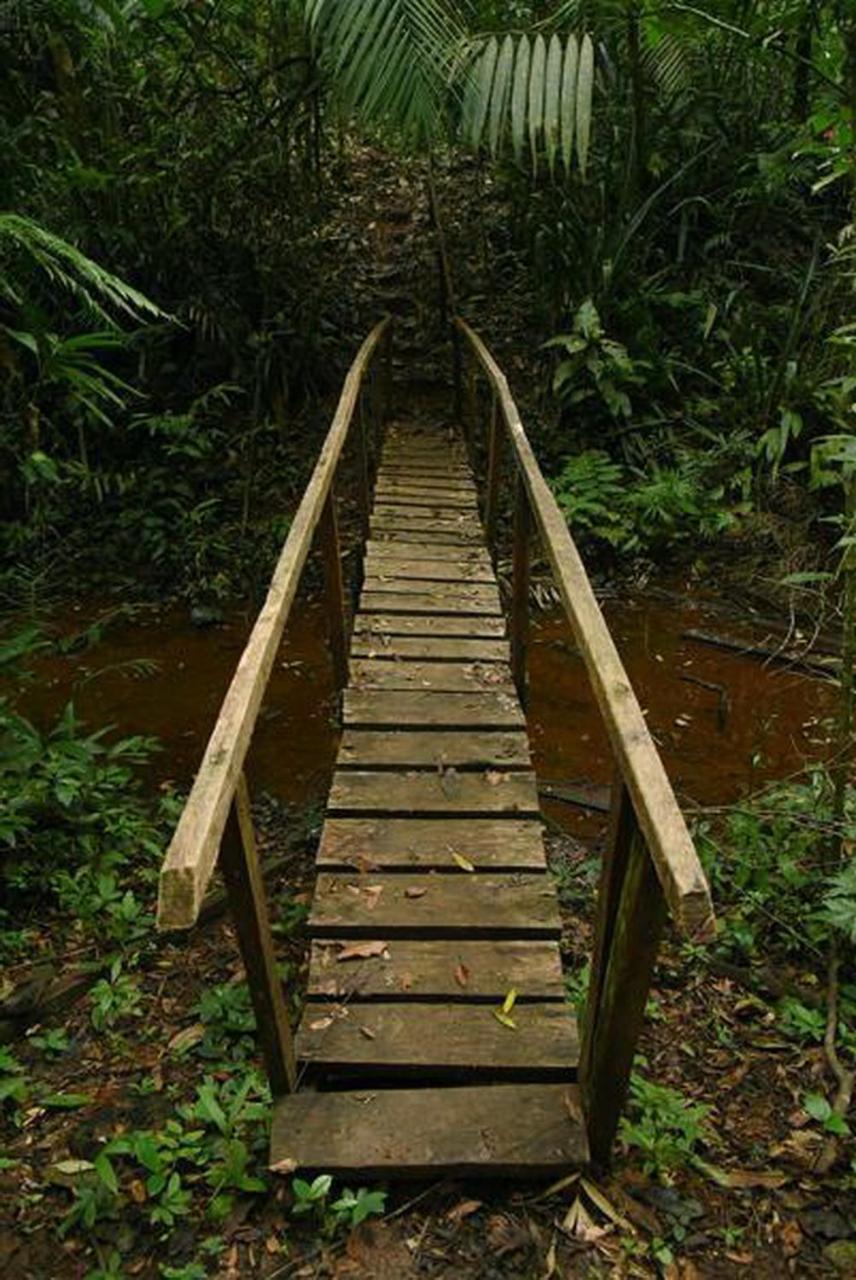 La Laguna Del Lagarto Eco-Lodge Pital  Exteriér fotografie
