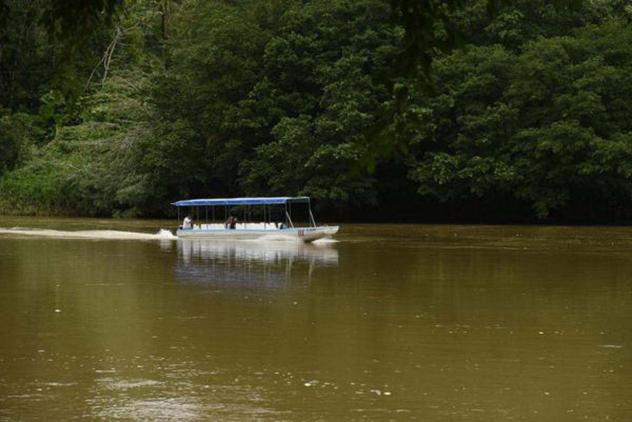 La Laguna Del Lagarto Eco-Lodge Pital  Exteriér fotografie